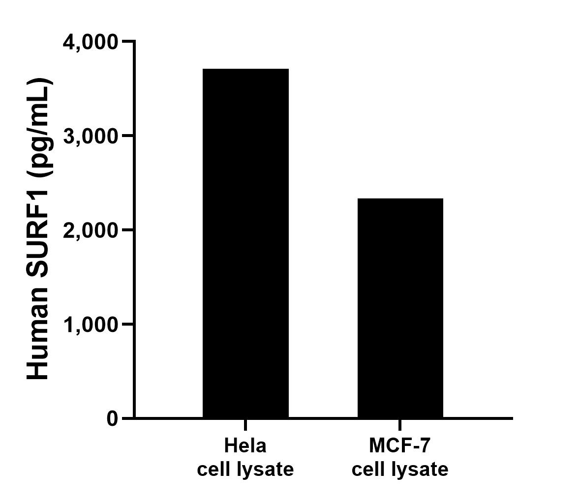 Sample test of MP00034-4